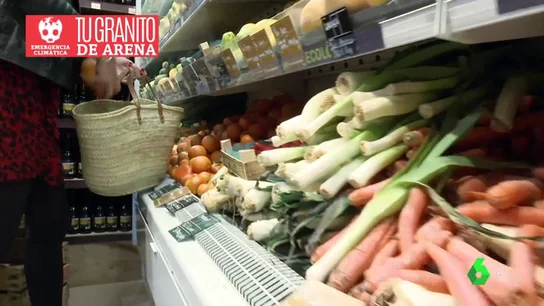 COMPRA CON CABEZA COMPRA CON CABEZA