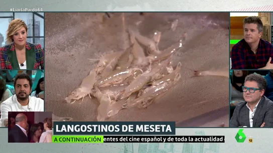Criadero de langostinos en Medina del Campo Criadero de langostinos en Medina del Campo