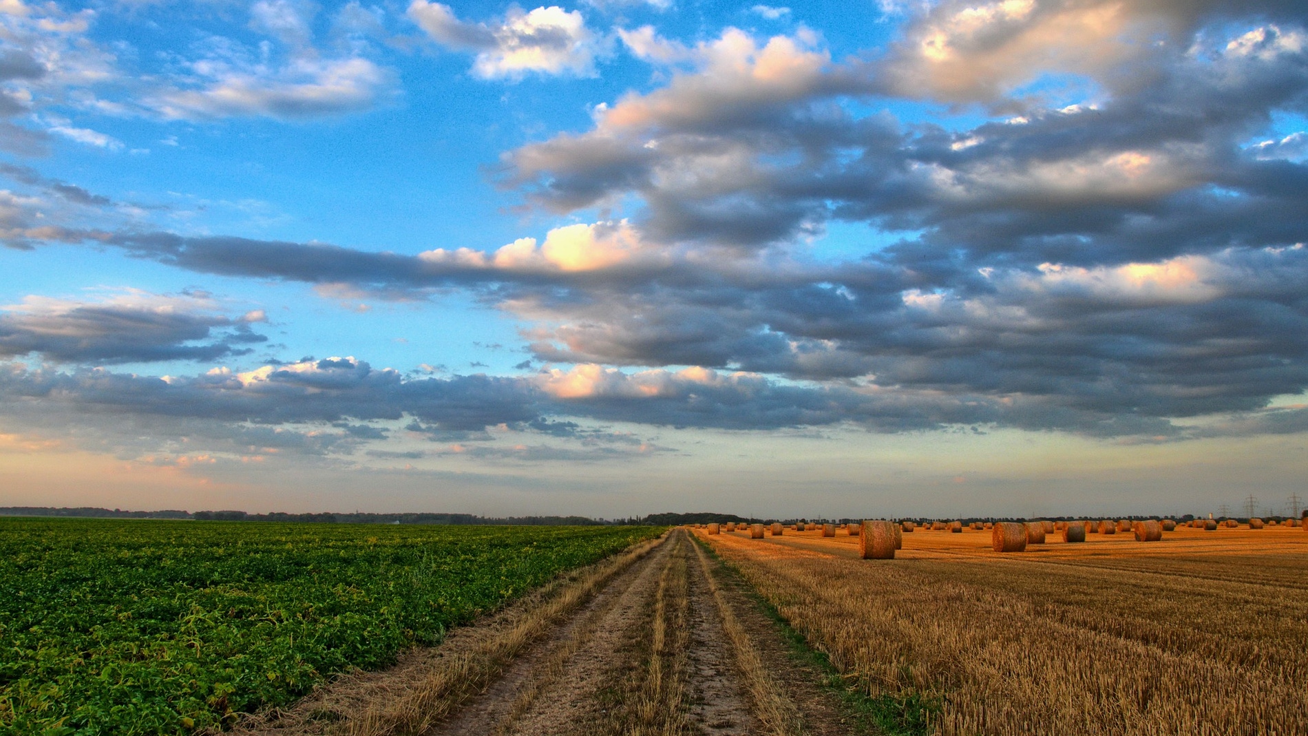 El sistema agroalimentario mundial genera injusticias entre paises