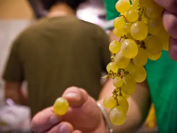 Fin de Año Fin de Año