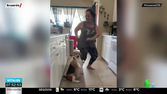 perro regaeton perro regaeton