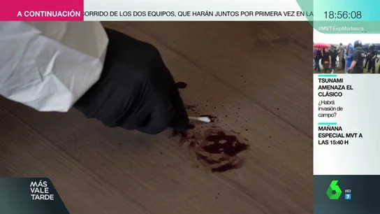 CSI ESPAÑOL CSI ESPAÑOL