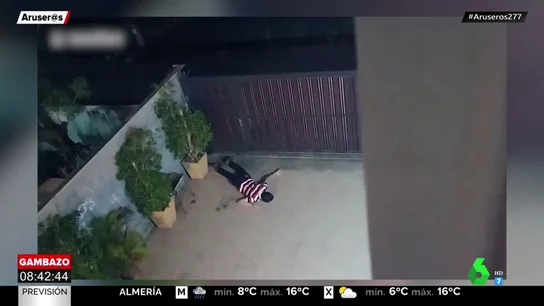 ladron noqueado ladron noqueado
