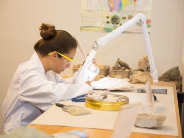 Imagen de archivo de una mujer científica trabajando. Imagen de archivo de una mujer científica trabajando.