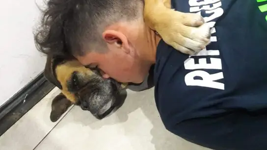 Una perra muere abrazada a su dueño tras aterrarse con el sonido de petardos: "No sabíamos dónde meterla mientras otros se divertían" Una perra muere abrazada a su dueño tras aterrarse con el sonido de petardos: "No sabíamos dónde meterla mientras otros se divertían"