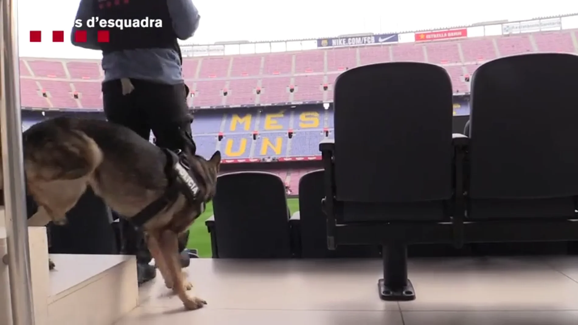 Así inspeccionan los Mossos d'Esquadra el Camp Nou y sus alrededores antes del Clásico