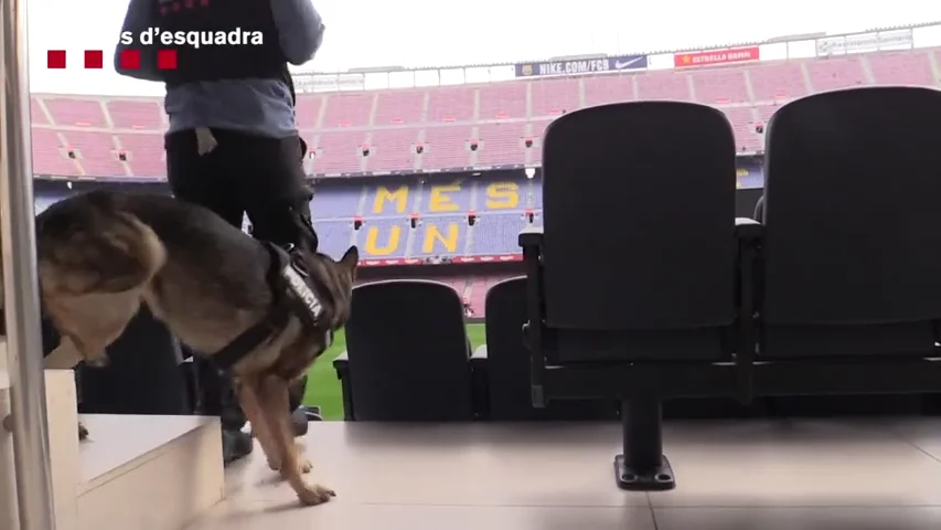 Así inspeccionan los Mossos d'Esquadra el Camp Nou y sus alrededores antes del Clásico