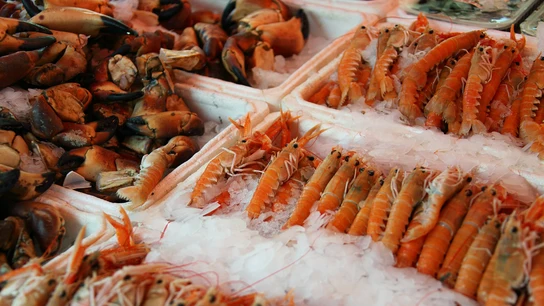 Cada año se desperdician 1.300 millones de toneladas de alimentos en el mundo y casi 8 millones en España Navidad