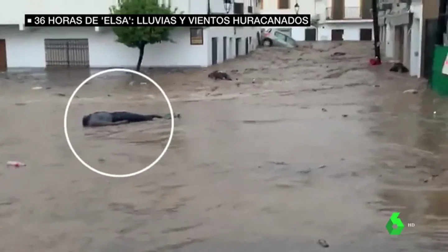 Tensión en Nerva después de avistar numerosos cuerpos arrastrados por las riadas que terminaron siendo maniquíes Tensión en Nerva después de avistar numerosos cuerpos arrastrados por las riadas que terminaron siendo maniquíes