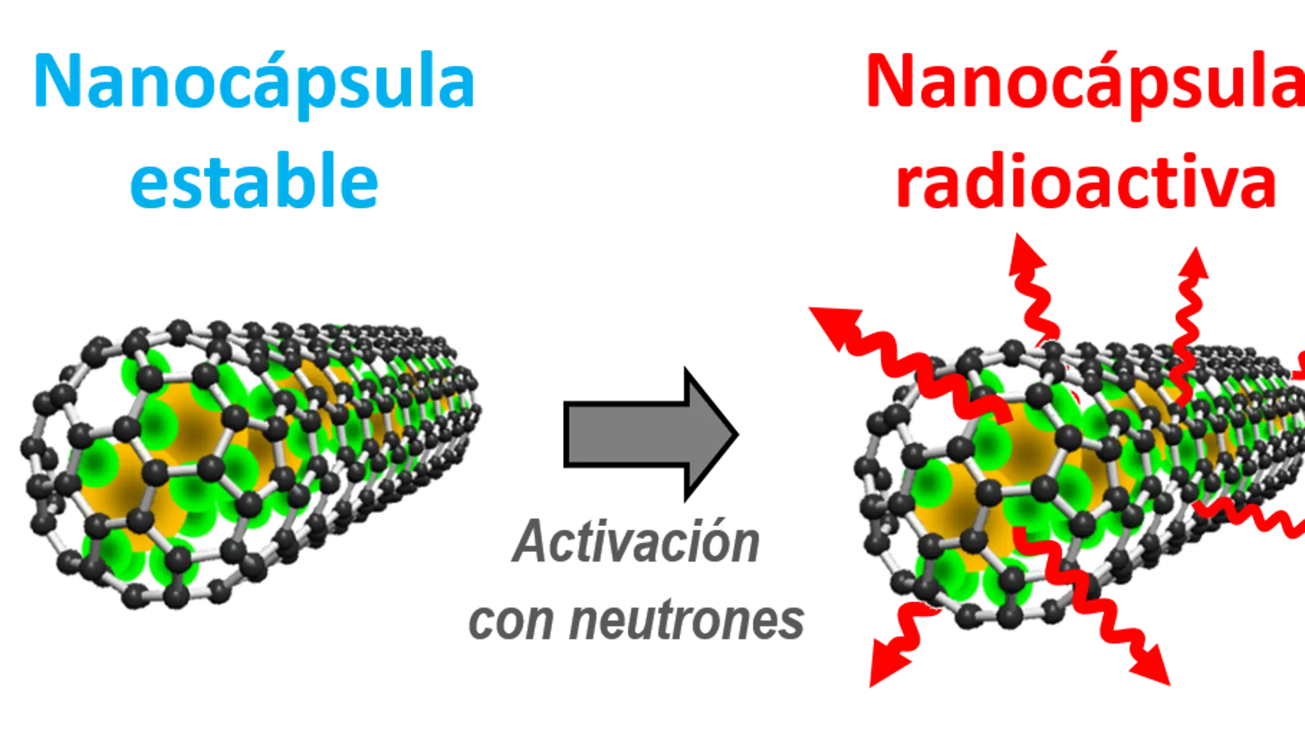 Nanocapsulas de carbono para la radioterapia contra el cancer