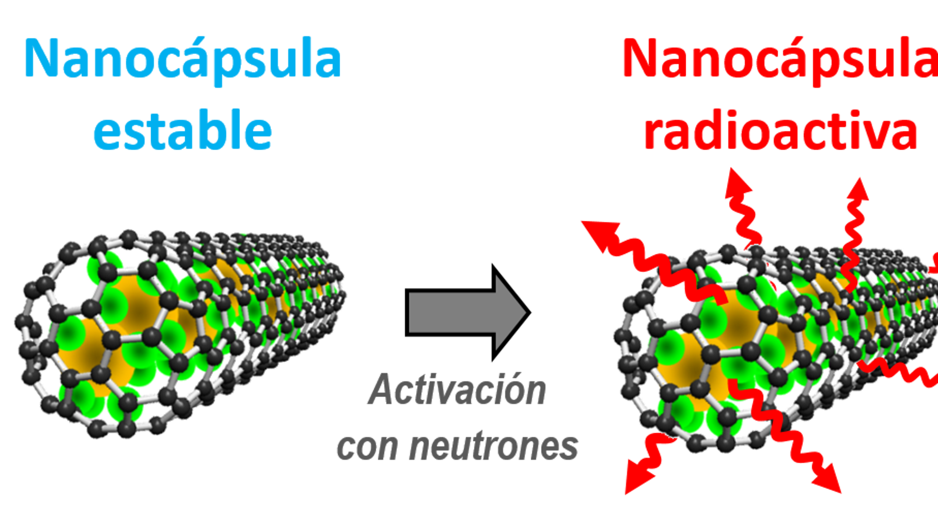 Nanocapsulas de carbono para la radioterapia contra el cancer