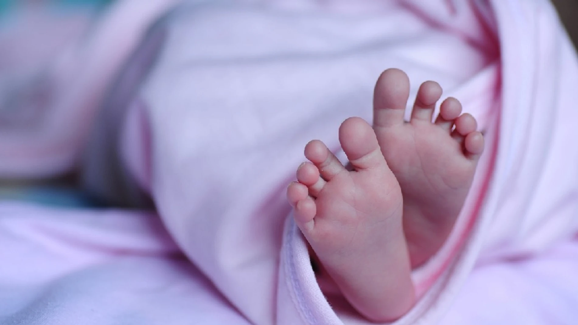 Imagen de archivos pies de un bebé. 