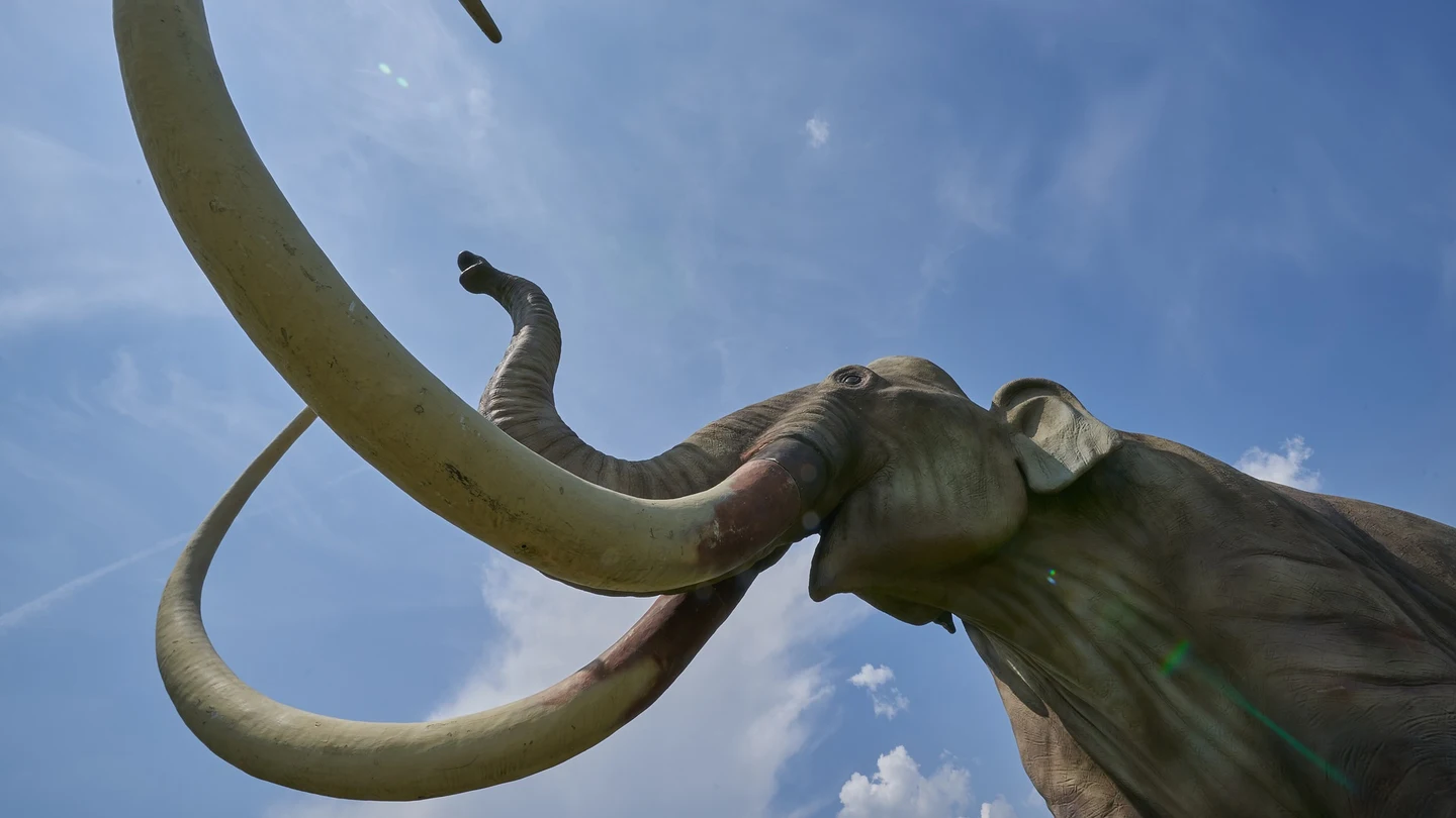 Imagen de archivo de la recreación de un mamut. Imagen de archivo de la recreación de un mamut.