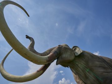 Imagen de archivo de la recreación de un mamut. Imagen de archivo de la recreación de un mamut.