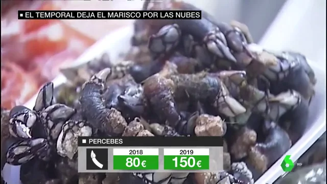 Percebes a 140 euros el kilo, centollas a 42: el temporal aumenta un 40% el precio de los mariscos