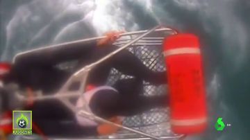 El espectacular rescate a un surfista atacado por un tiburón en California