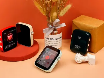 Shanling Q1 Shanling Q1