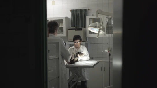 Eli en la clínica veterinaria en la que colabora Auténticos