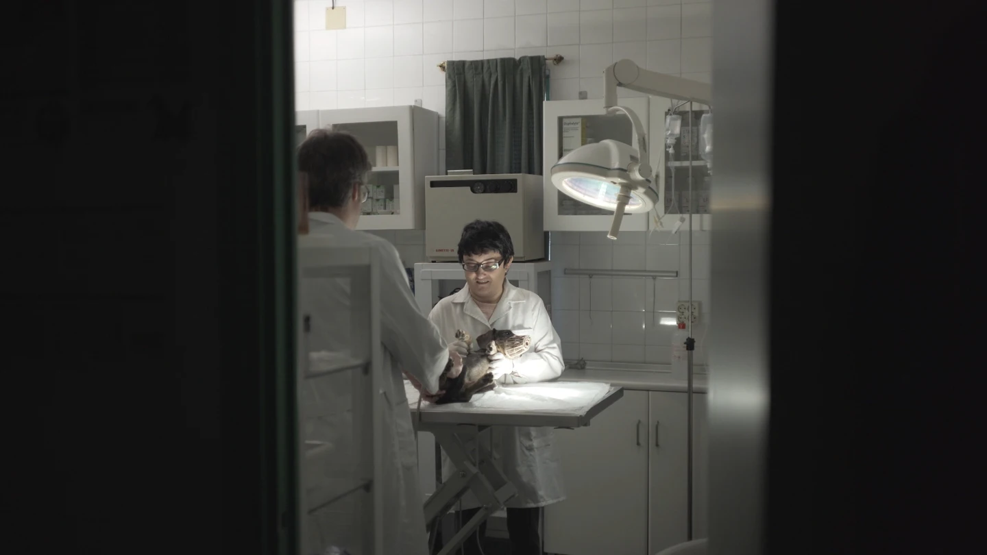 Eli en la clínica veterinaria en la que colabora Auténticos