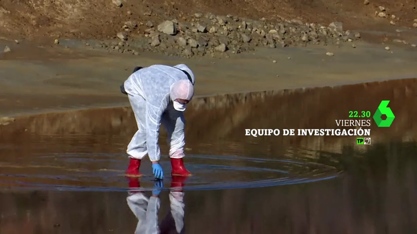 'Pescado a examen' en Equipo de Investigación 'Pescado a examen' en Equipo de Investigación