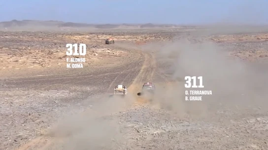 Alonso y Terranova Alonso y Terranova