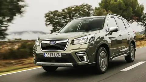 Subaru Forester Subaru Forester