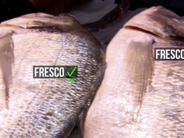 Pescado fresco y pescado que no lo es Pescado fresco y pescado que no lo es