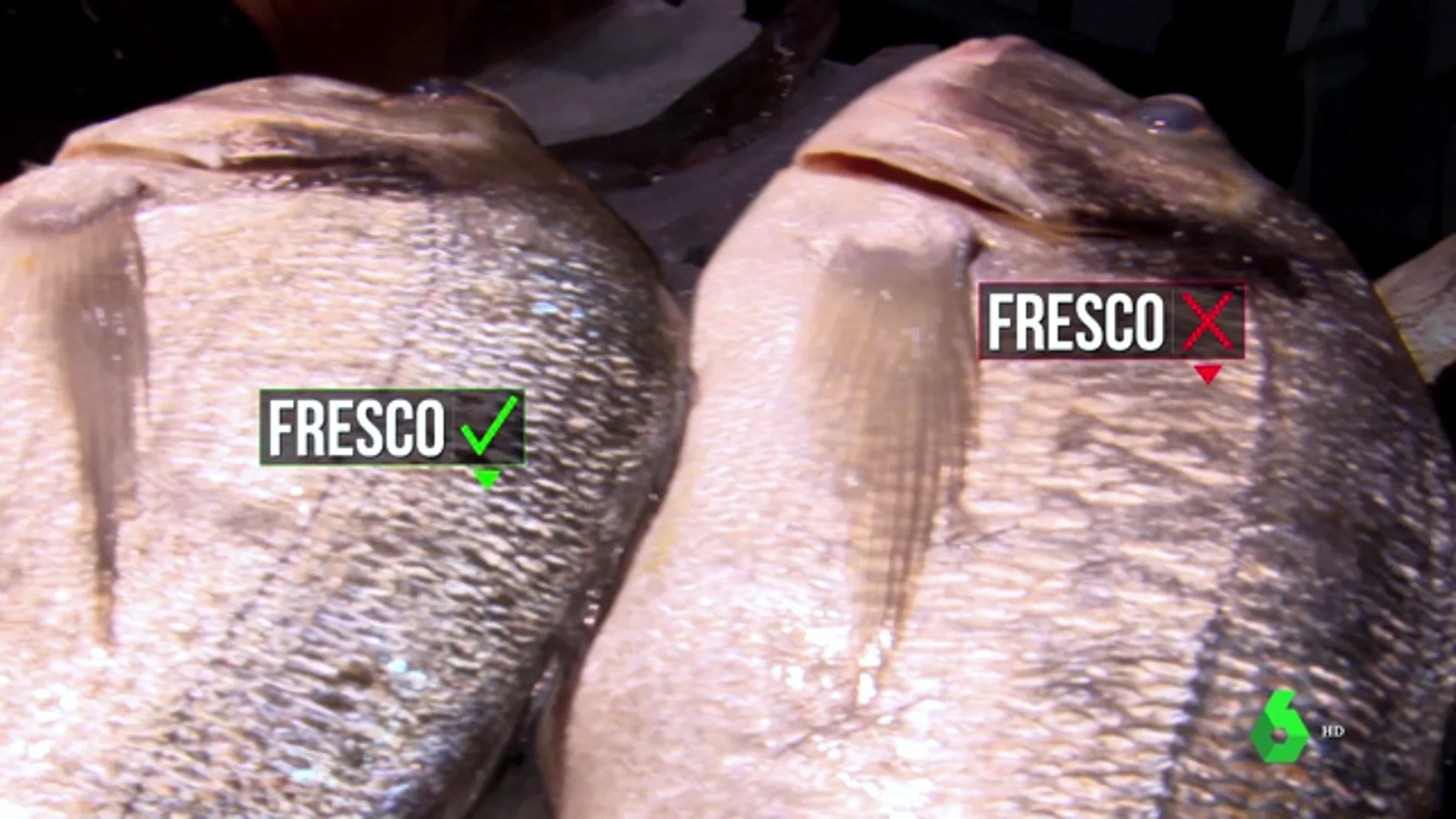 Diferencias entre pescado fresco y congelado