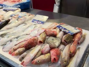 Imagen de una pescadería Imagen de una pescadería