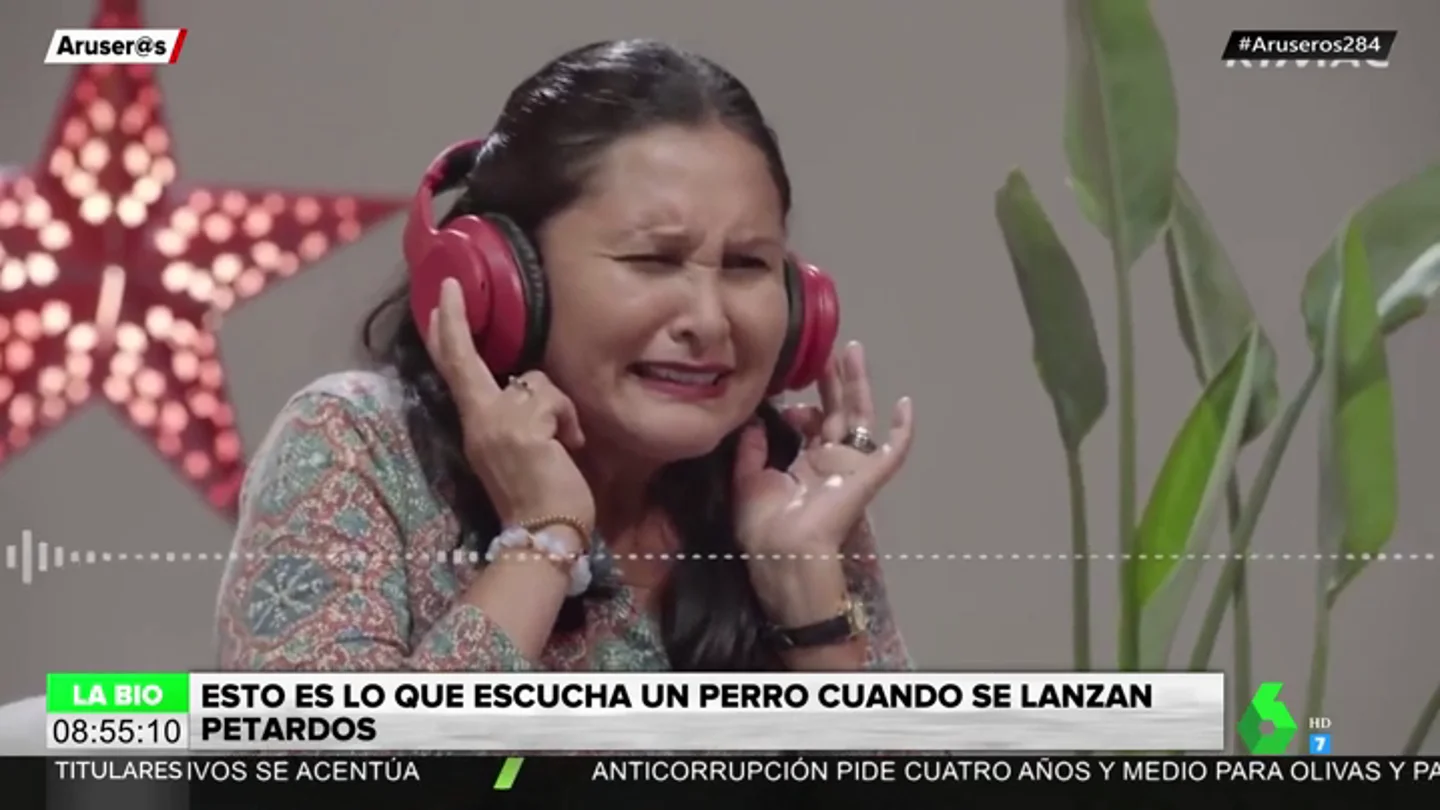 petardos petardos