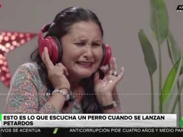 petardos petardos