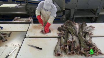 Imagen de una empresa que congela pescado