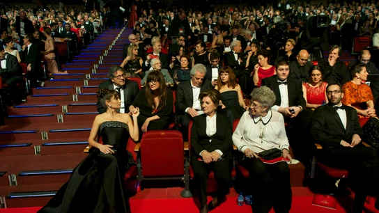 ¿Cómo conseguir una entrada para la gala de los Goya 2020? ¿Cómo conseguir una entrada para la gala de los Goya 2020?
