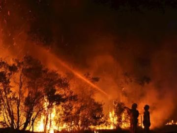 Imagen de los incendios forestales en Australia. Imagen de los incendios forestales en Australia.