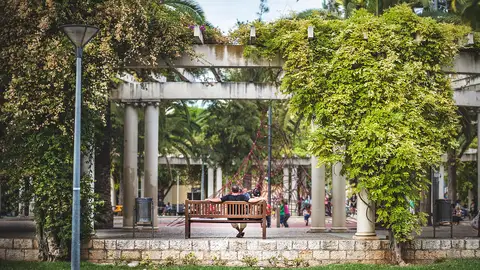 Palma Palma