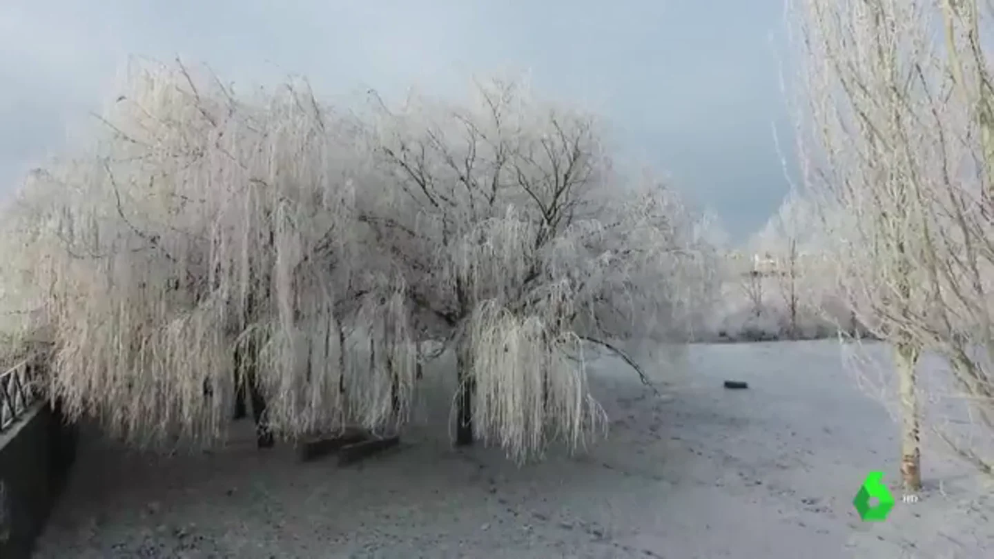Árboles y campos helados: espectaculares imágenes de la cencellada en Salamanca Árboles y campos helados: espectaculares imágenes de la cencellada en Salamanca
