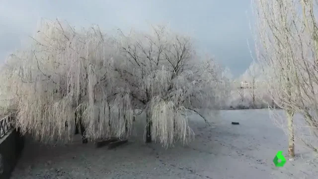 Árboles y campos helados: espectaculares imágenes de la cencellada en Salamanca