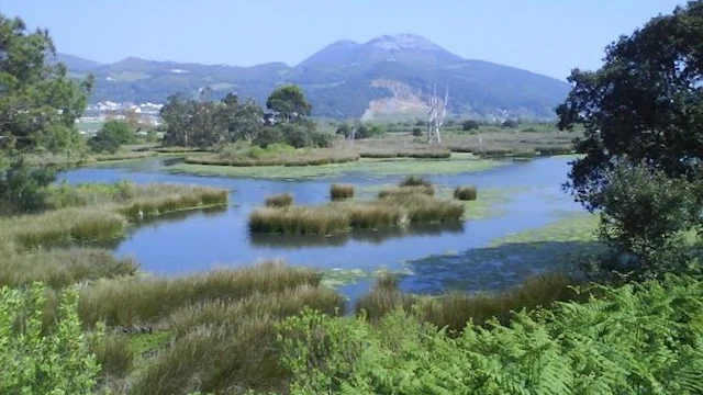 Imagen de archivo de las marismas de Santoña