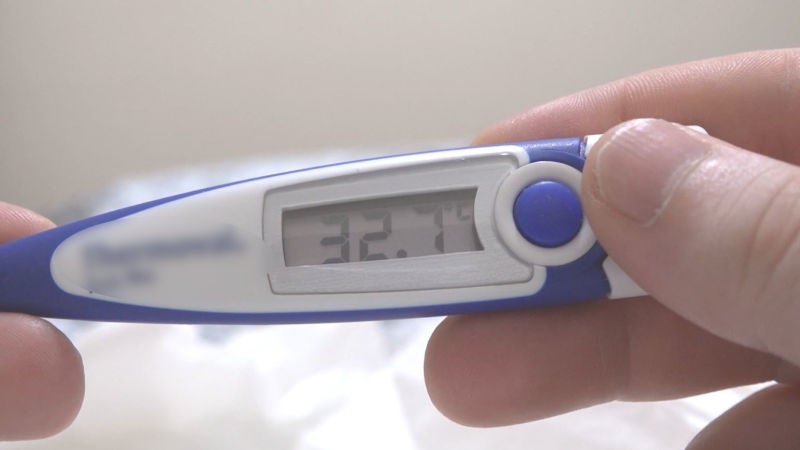 Temperatura corporal normal: ¿por qué se establece entre 35 y 37 grados?