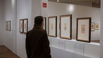 Exposiciones