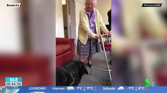 abuela abuela