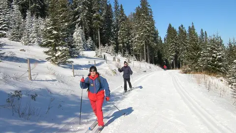 Esquí de fondo Esquí de fondo