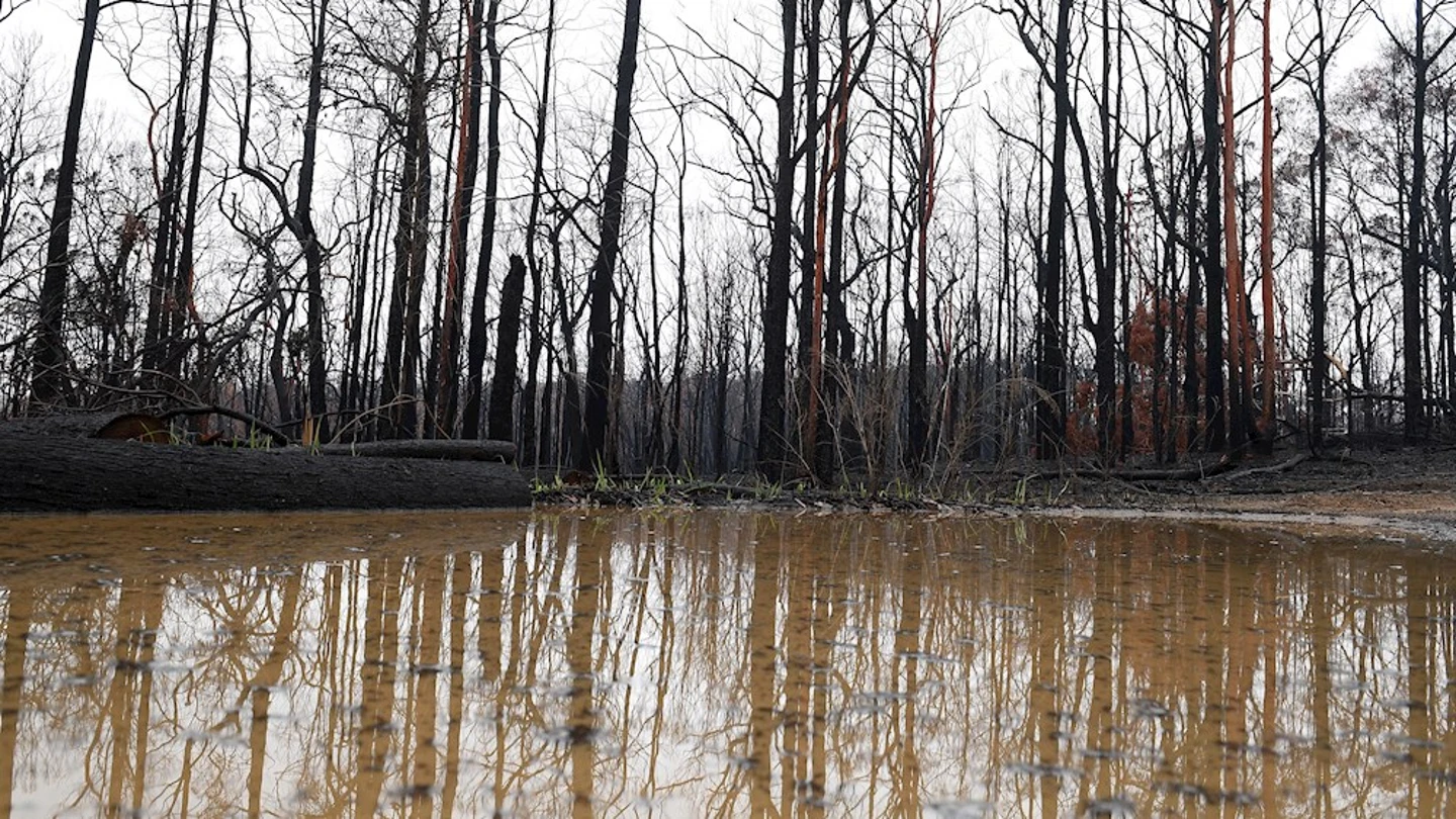 Incendios e inundaciones en Australia Incendios e inundaciones en Australia