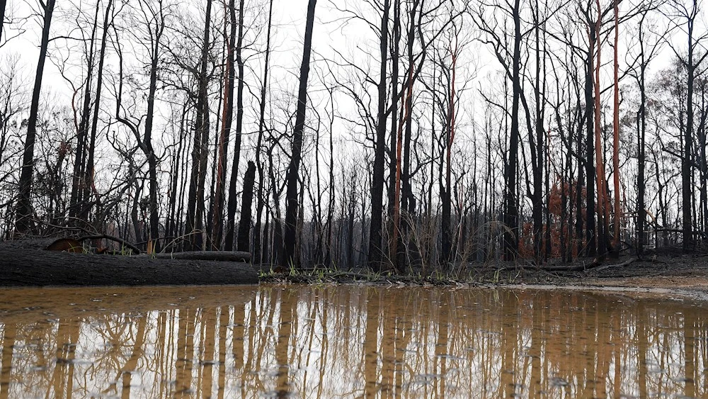 Incendios e inundaciones en Australia