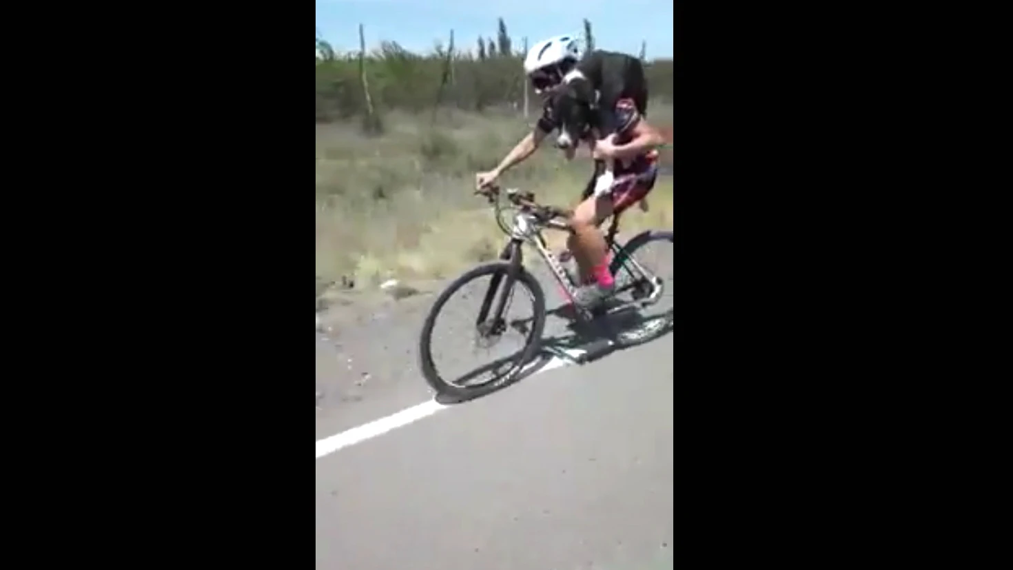 Un ciclista salva a un perro de morir de hambre y sed