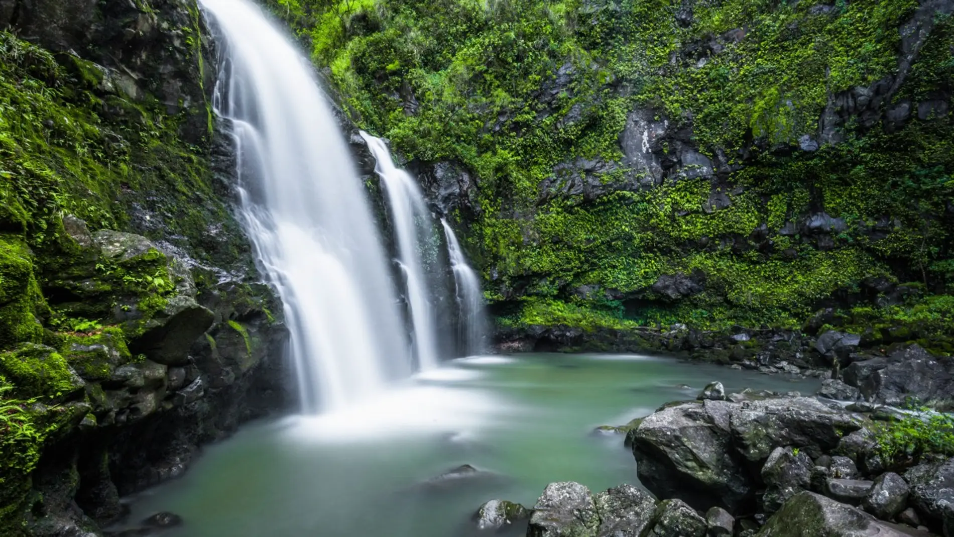 20 impresionantes cascadas para visitar en Estados Unidos