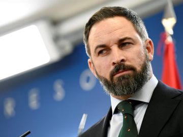 El líder de Vox, Santiago Abascal, en el Congreso de los Diputados El líder de Vox, Santiago Abascal, en el Congreso de los Diputados