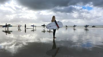 Surf