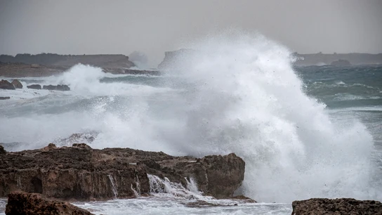Gloria: Temporal, estado de las carreteras y borrasca en Valencia, Alicante y resto de España | En directo Gloria: Temporal, estado de las carreteras y borrasca en Valencia, Alicante y resto de España | En directo