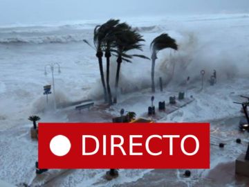 Borrasca Gloria en directo | Temporal en Valencia, Alicante y resto de España Borrasca Gloria en directo | Temporal en Valencia, Alicante y resto de España